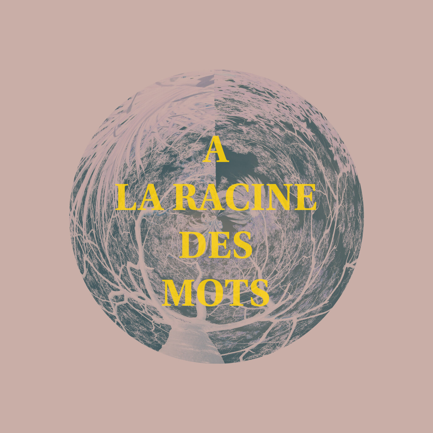À La Racine Des Mots - Radio Campus Paris